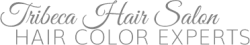 Tribeca Hair Salon, Hair Color Experts in Florida